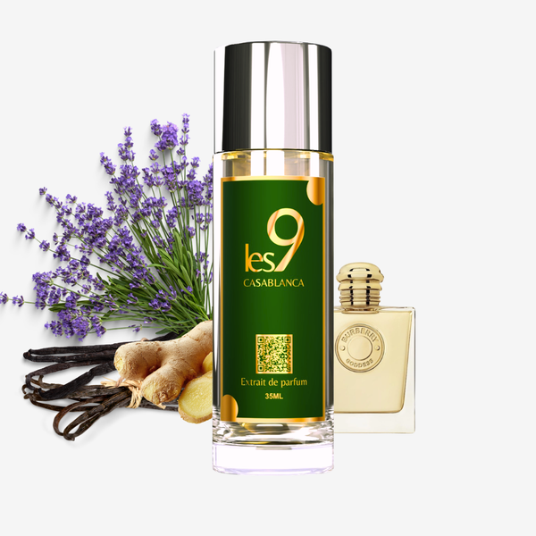 Inspiration Goddess burberry