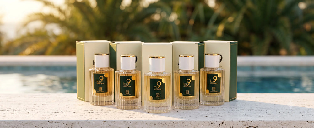 Pack 5 Parfums 55ml